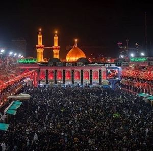 Meet your Posher, Mona